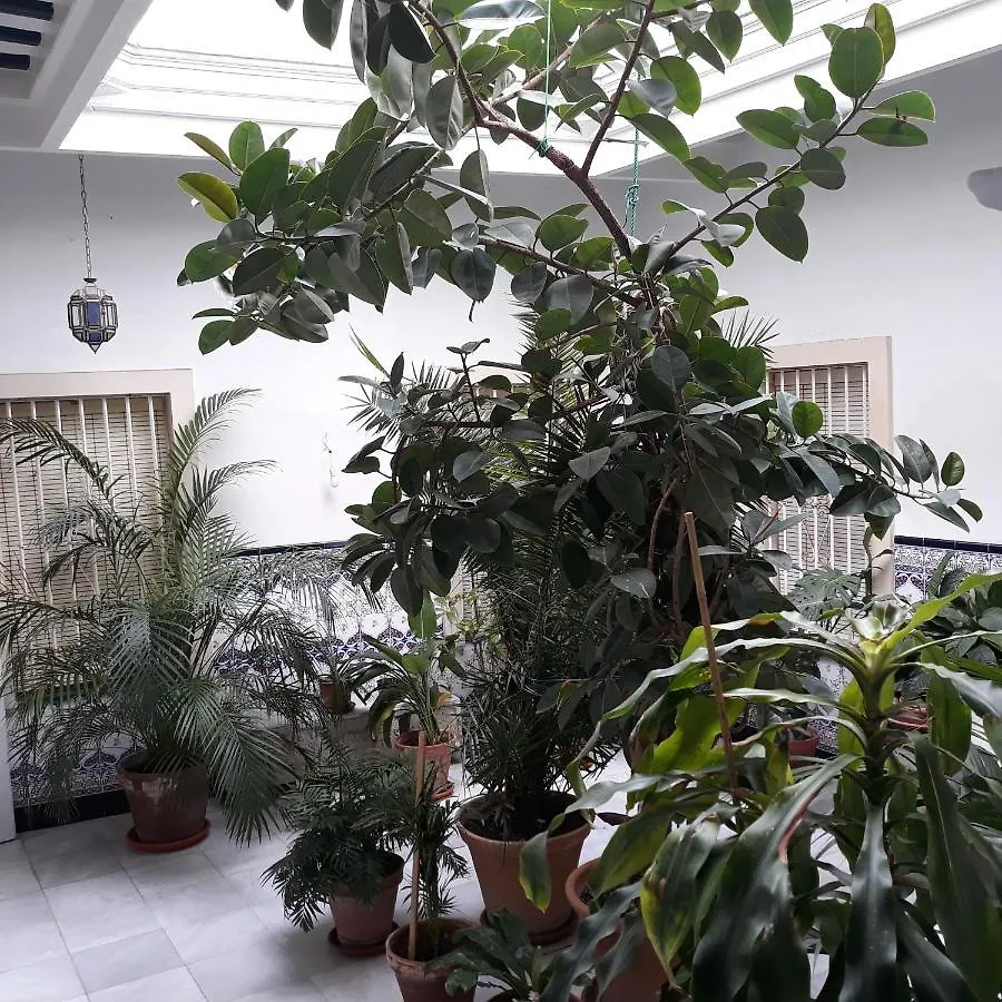 Apartamento Atico Soleado Cádiz España