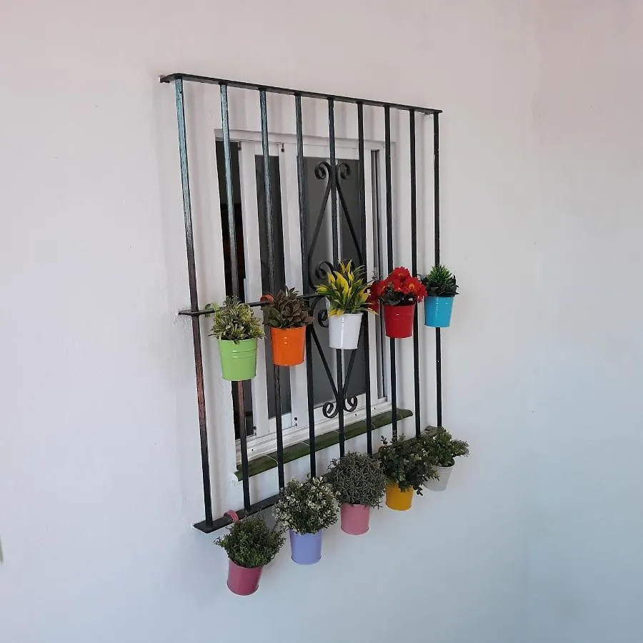 Apartamento Atico Soleado Cádiz 0*,  España