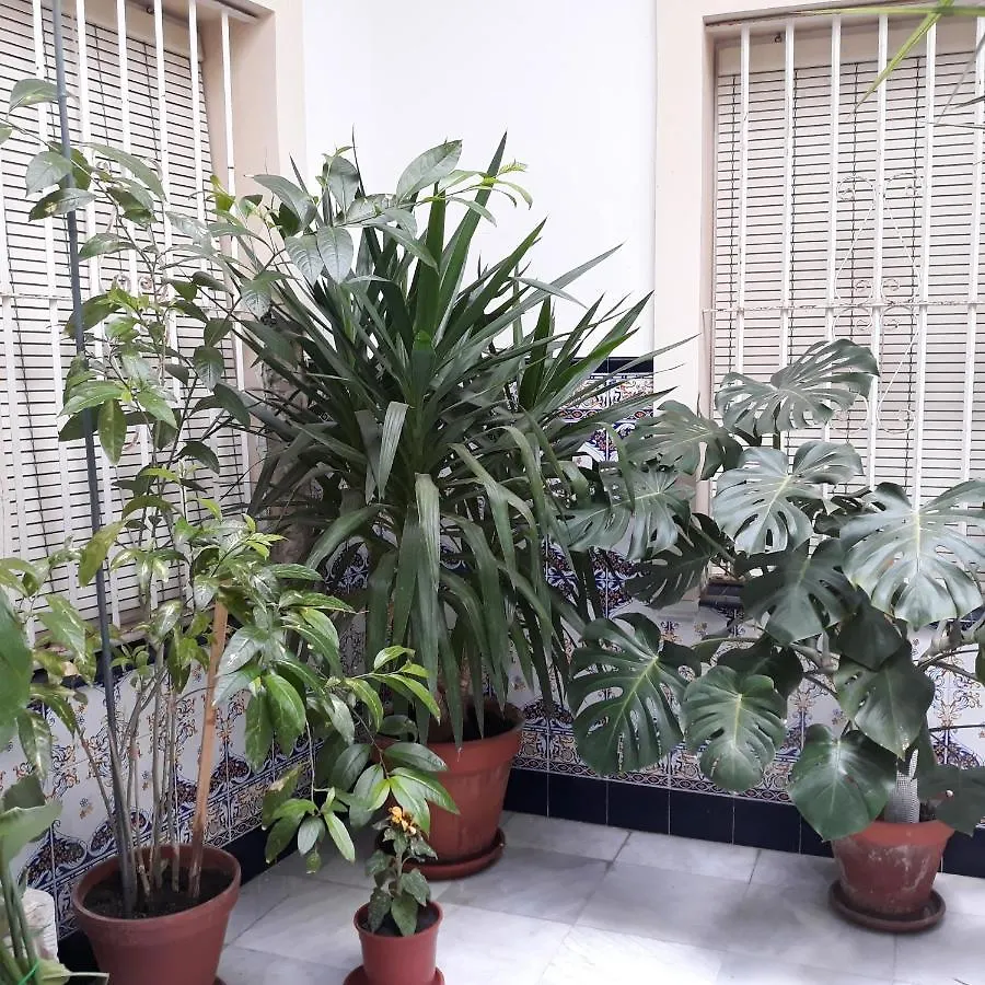 Apartamento Atico Soleado Cádiz