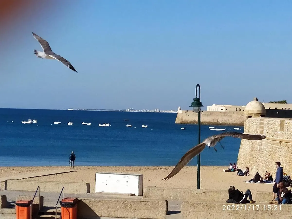 Apartamento Atico Soleado Cádiz 0*,  España